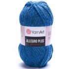 Allegro Plus 