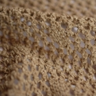 Astra Lucida