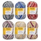 NORDIC WINTER COLOR 8-ply